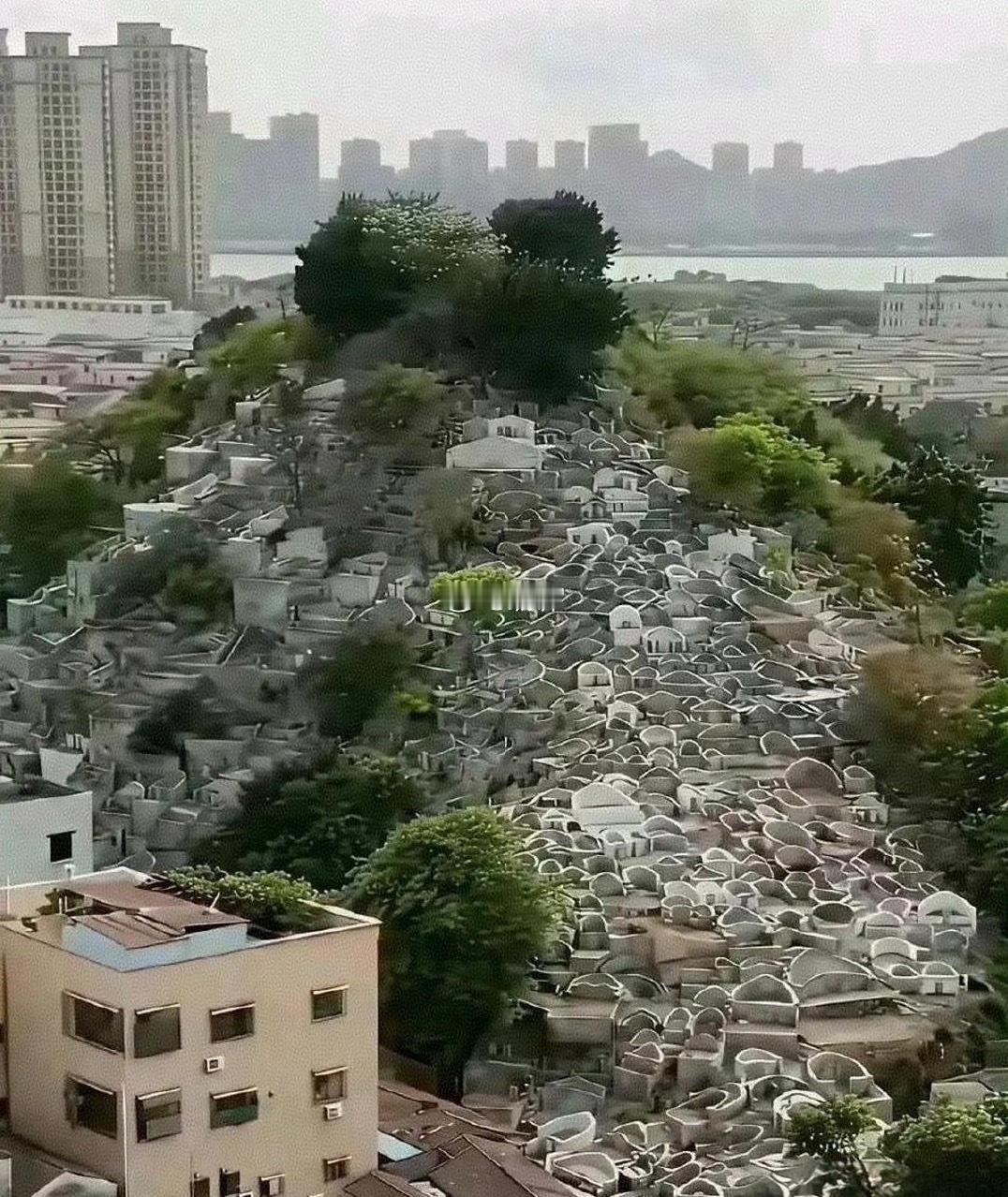 这就是多年后土葬的后果！！！ 