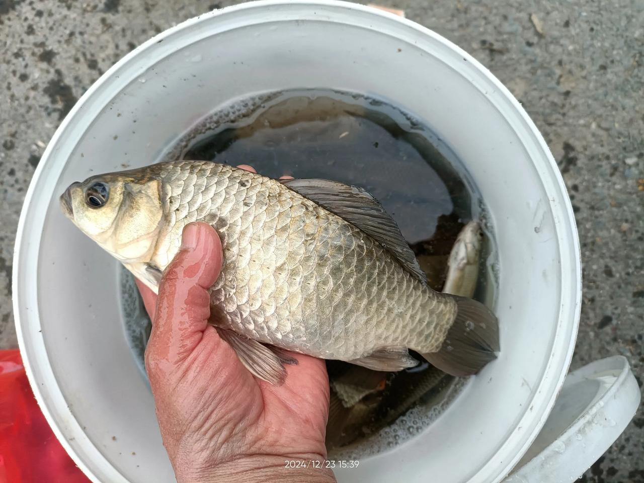 这天气冷了，钓鱼都不好钓啊。