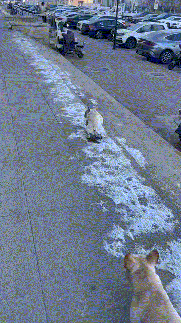 出门，就交个盆友[笑哭][笑哭][笑哭]