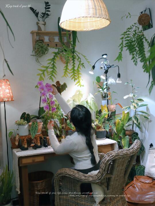 welcome to my green plant space