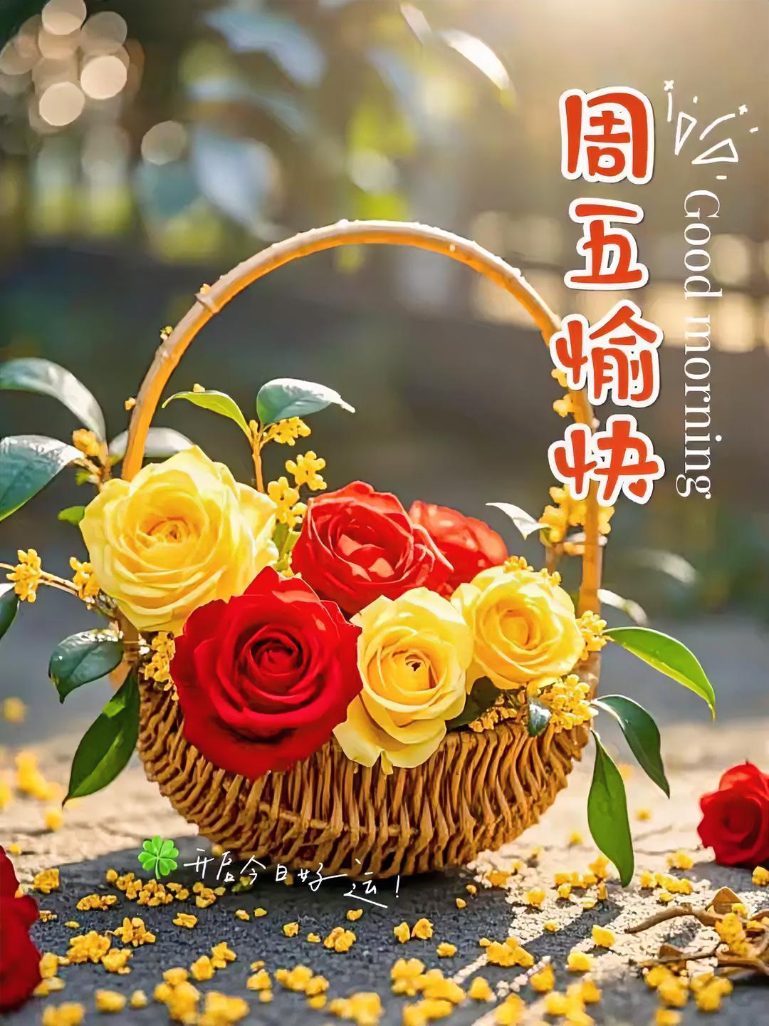 周五快乐！阳光倾洒在花篮上，玫瑰与桂花摇曳生姿，开启今日好运气，元气满满迎接周末