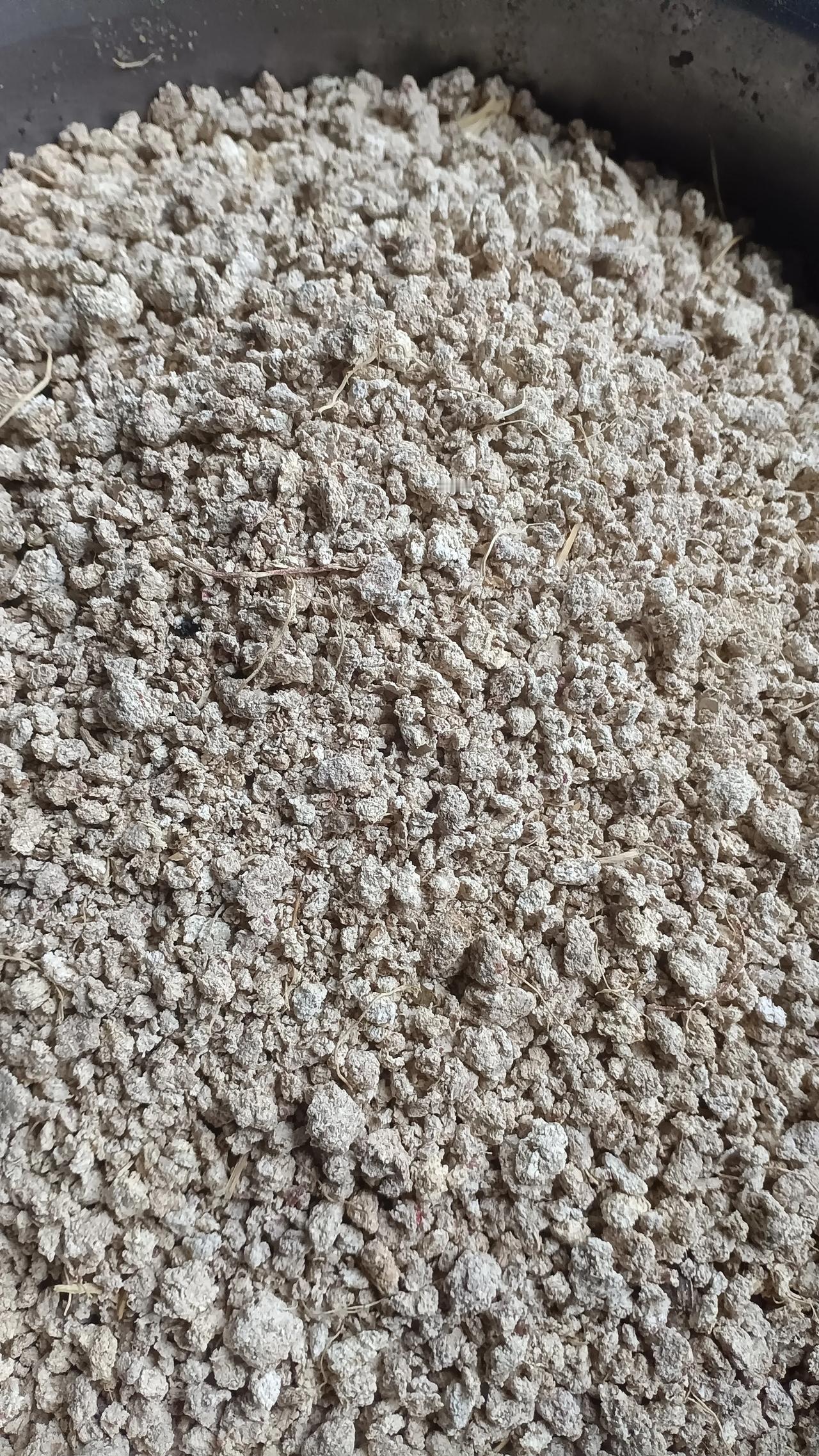 牛皮菜已经要开花了，山边边的已经吃完了，还家门口两小块，4个猪还能吃十来天吧，大