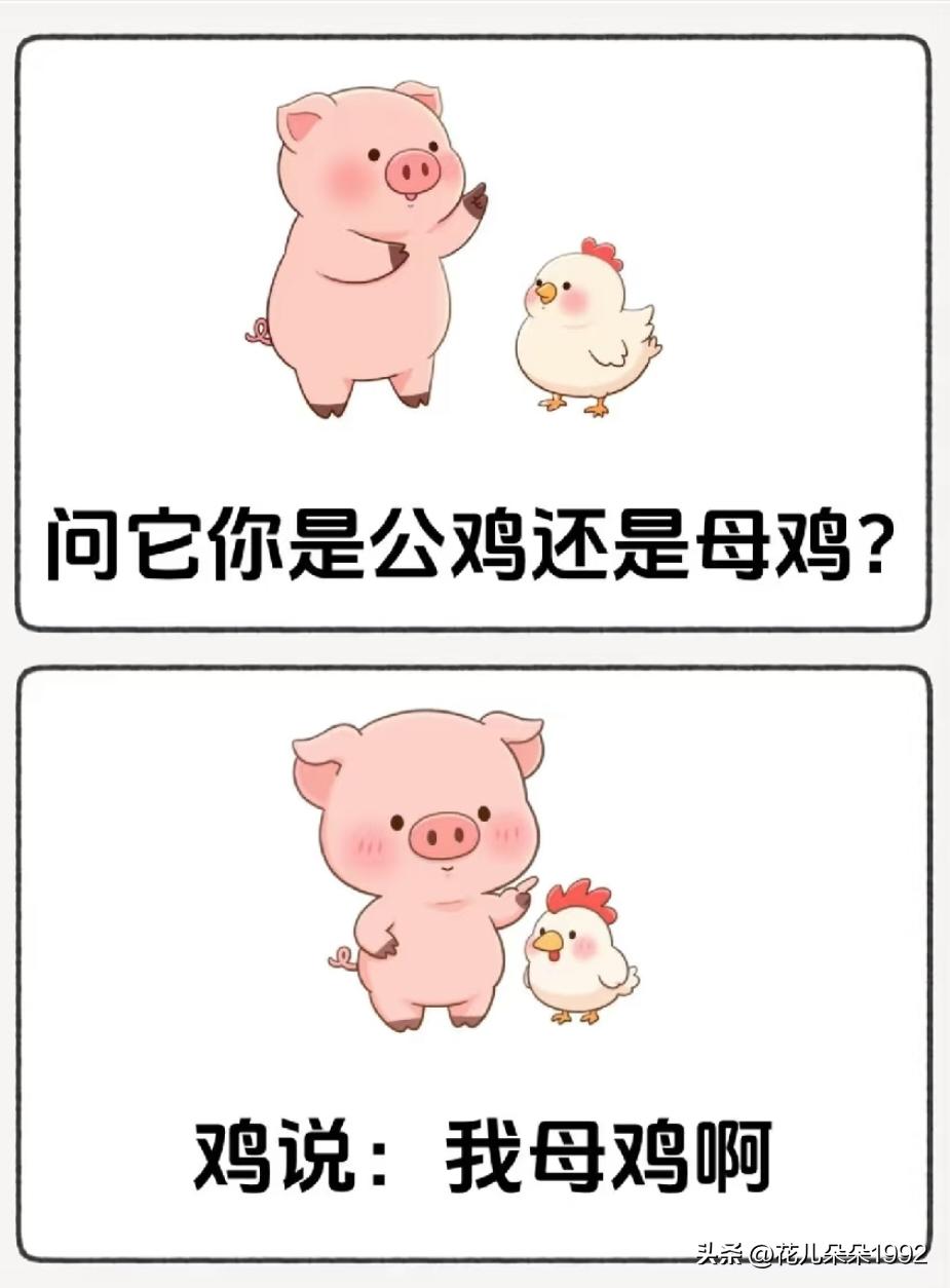 广东的网友应该能发现这个梗，粤语发音“我母鸡呀”等同于“我不知道呀”
