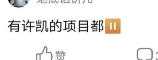 瓜主说有许凯的项目都暂停了，这瓜主有实绩吗？ ​​​