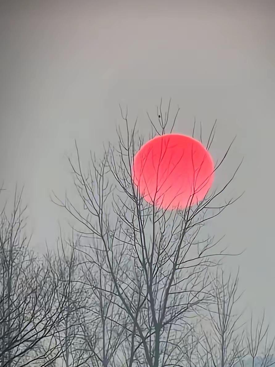 能让别人快乐的人，
一定很善良。
能让自己快乐的人，
一定很聪明。
生活中最好的