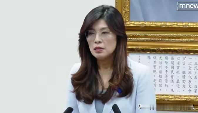 就在刚刚，国民党主席郑丽文突然宣布，12月24日下午，国民党主席郑丽文在中常会上
