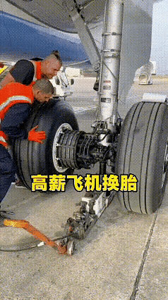 熟能生巧
专业的事交给专业的人干[灵光一闪]