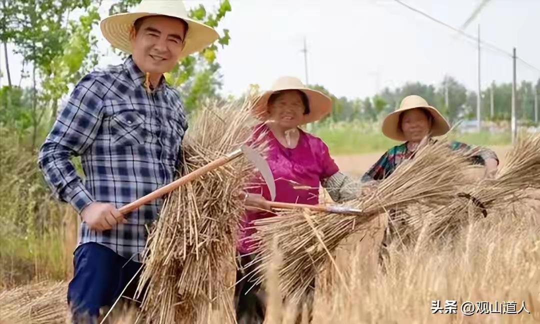 收割稻子的陈光标个子不矮，图二一身绿色环保打扮的他怎么就那么显矮呢，或许是旁边两
