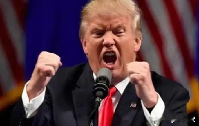 特朗普称自己是和平缔造者你怎么看我站着看，坐着看，躺着看，横着看，竖着看，怎么看