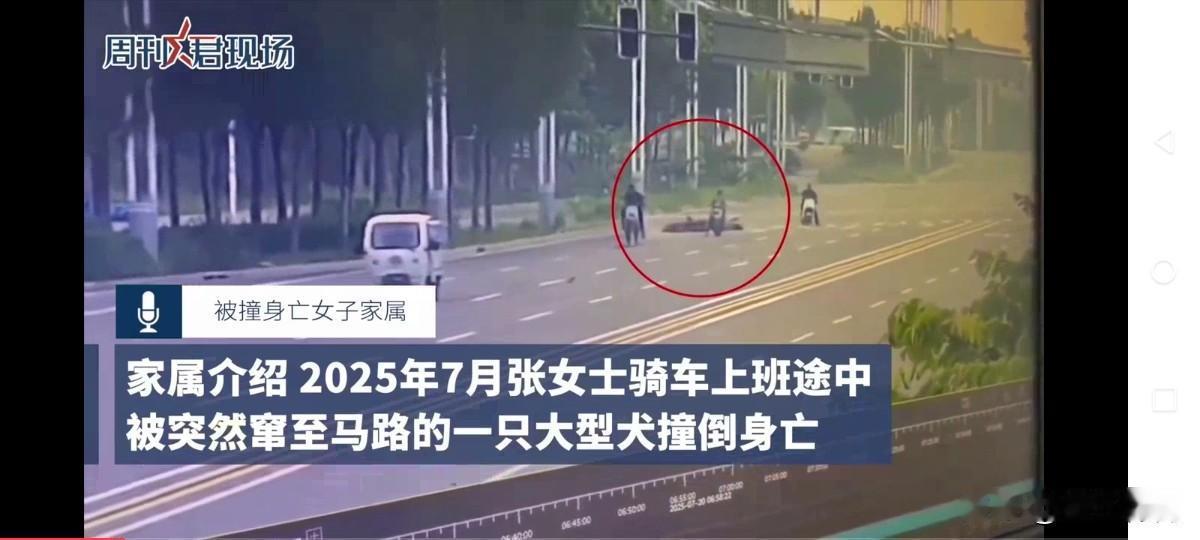 女子骑行被狗撞倒身亡，狗主人从不拴绳，事后将狗打死。近日，河北邯郸女子骑行被狗撞