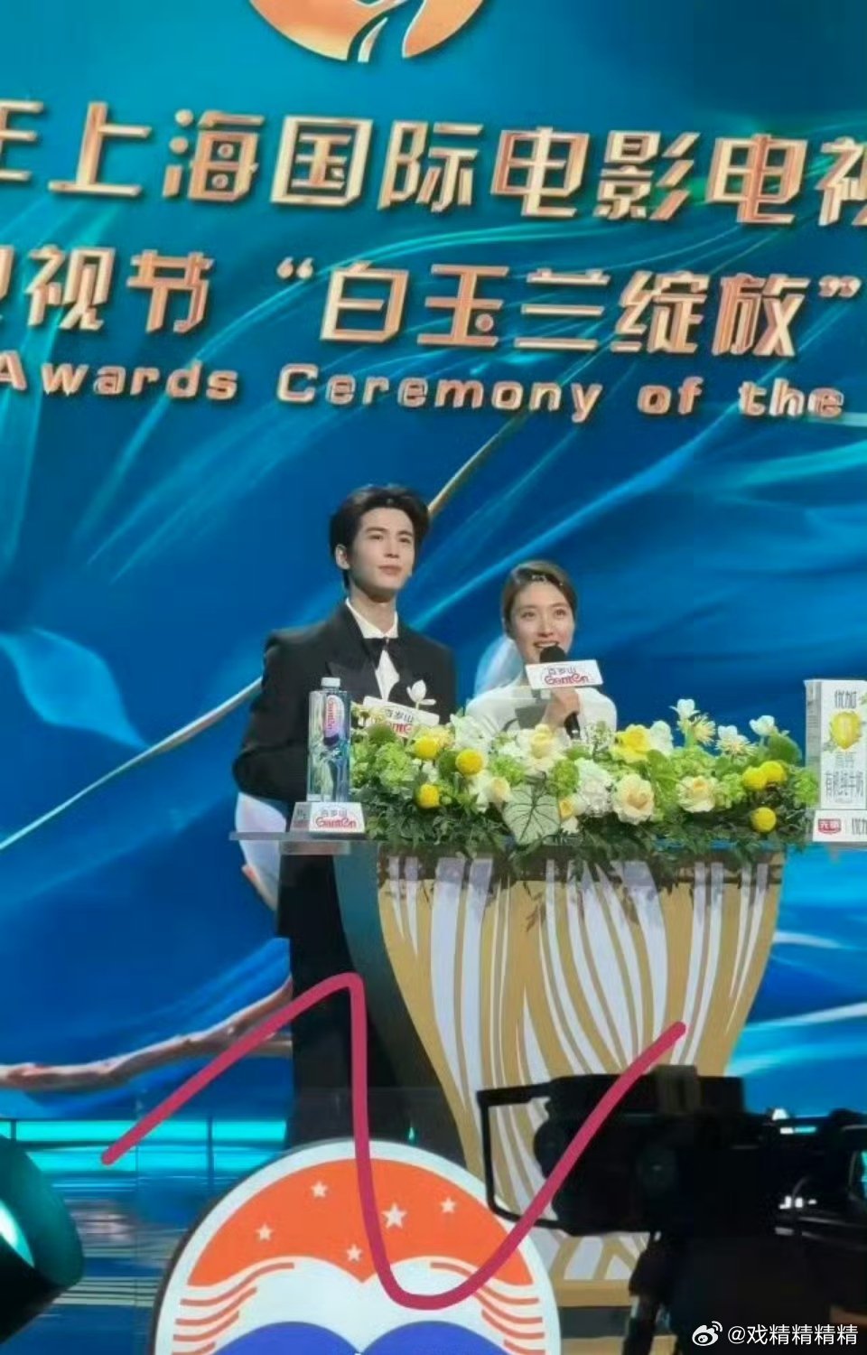 张凌赫白玉兰活动出图他有什么作品呀？