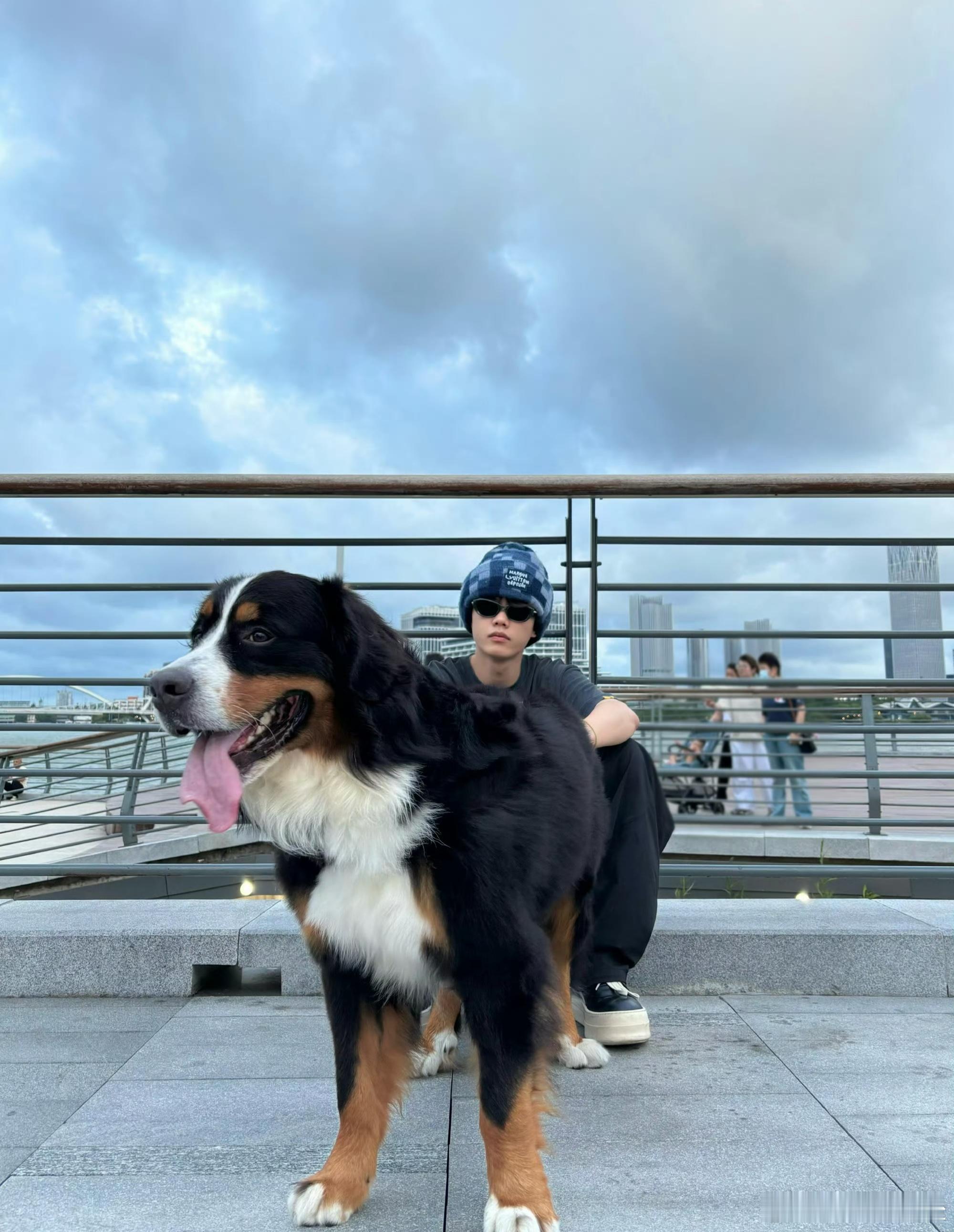 出差的亲爸没招的干爹胆小的它沙一汀出差后，沙圆圆直接‘人设崩塌’！在家横冲直撞，