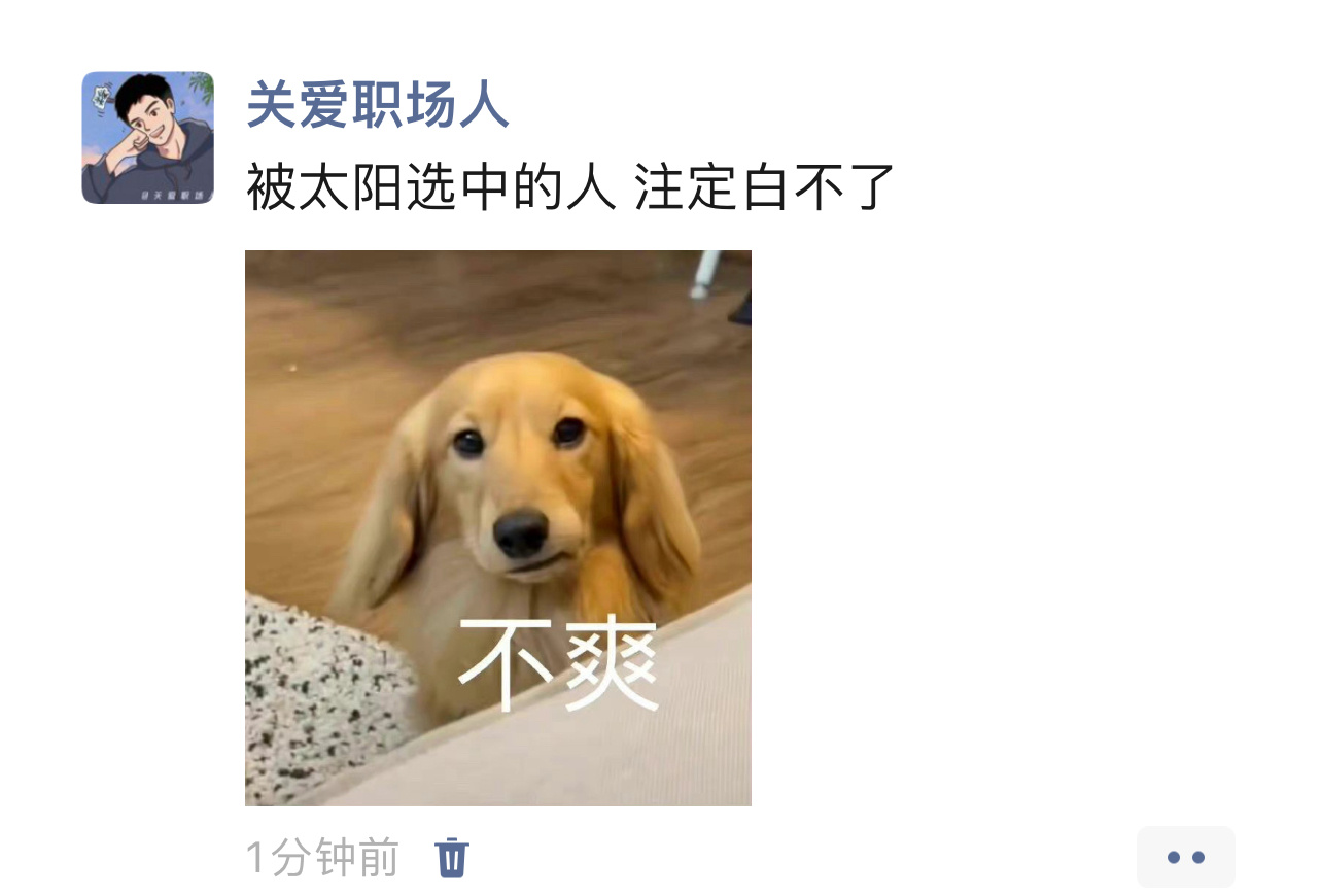 被太阳选中的人注定白不了春日放个疯 ​​​