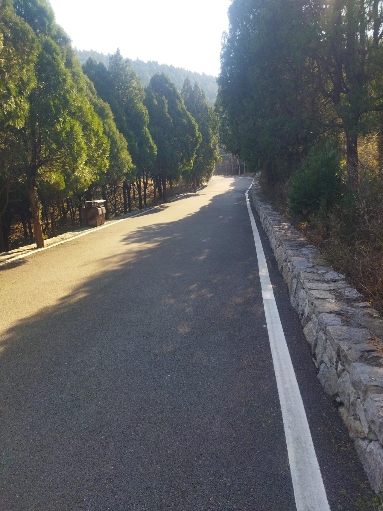 冬日生活打卡季今天理了个发，自己动手不麻烦别人。