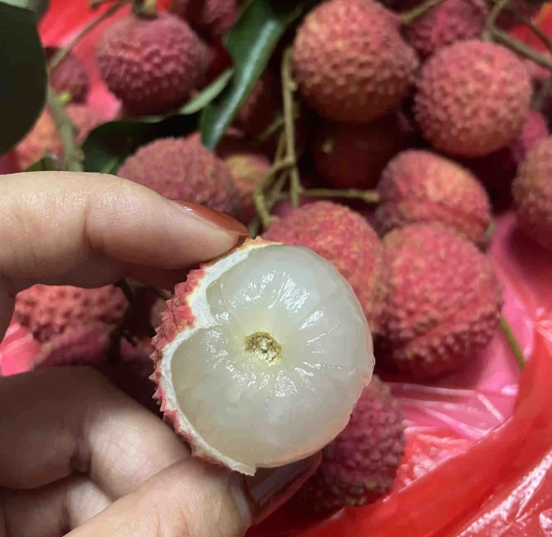 活荔枝 死荔枝 活荔枝好吃，死荔枝基本上没啥味道，且颜色是乳白色，不是透明的。这