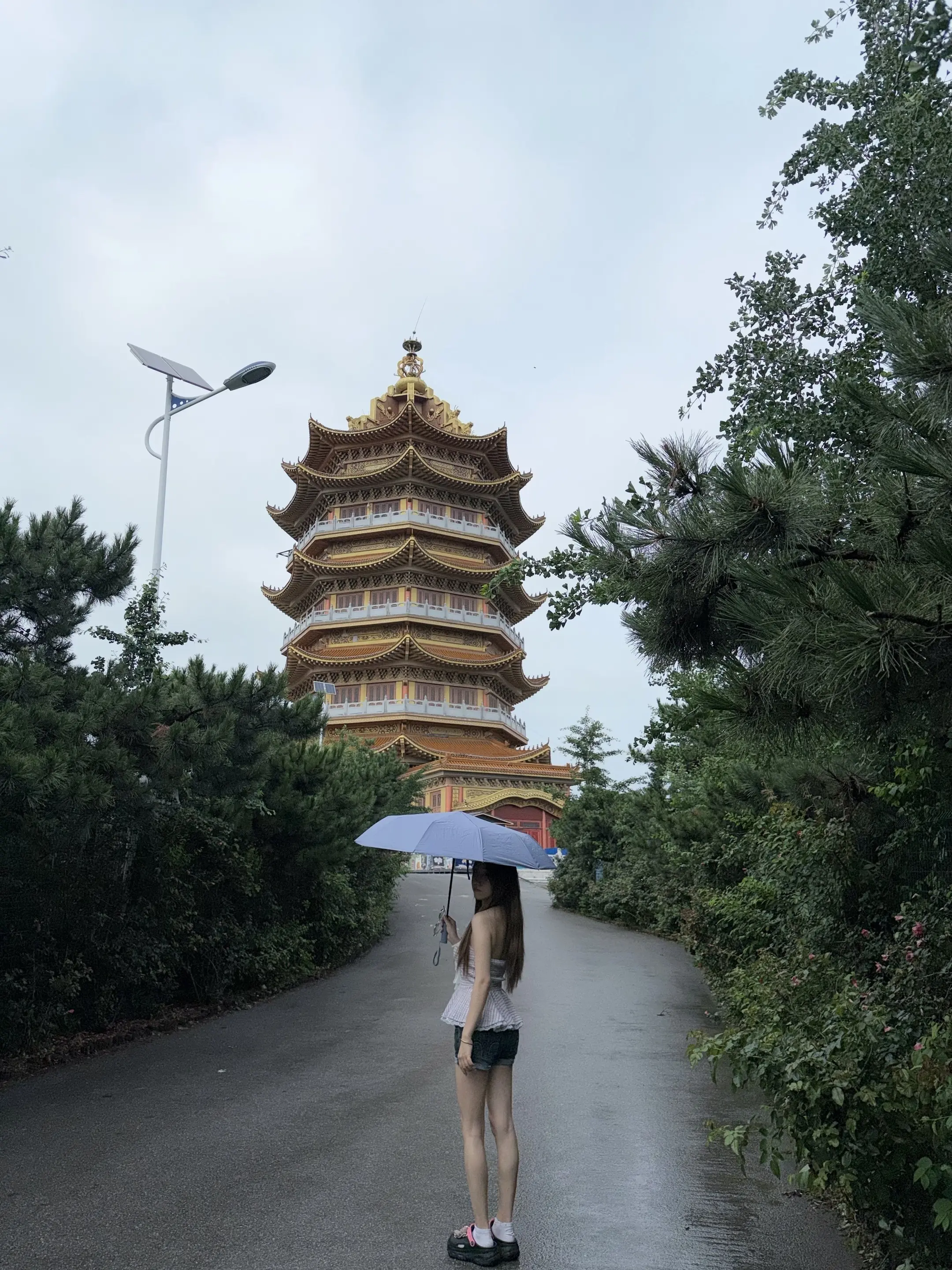 非得是她吗 我不行吗