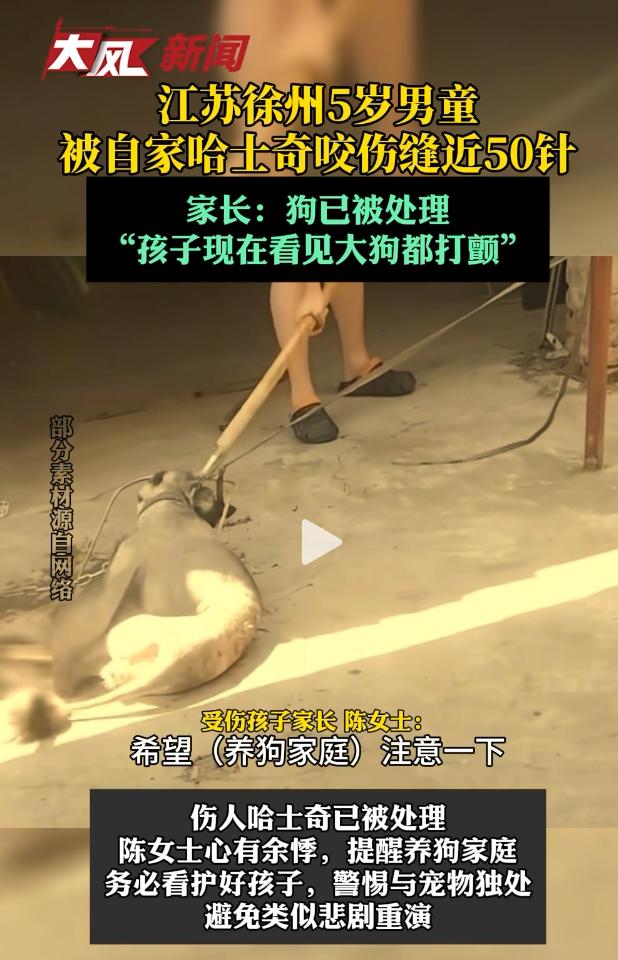 徐州咬伤5岁男童的哈士奇已经被处理！
生前很受男童一家喜爱，为了怕它热，男童家长