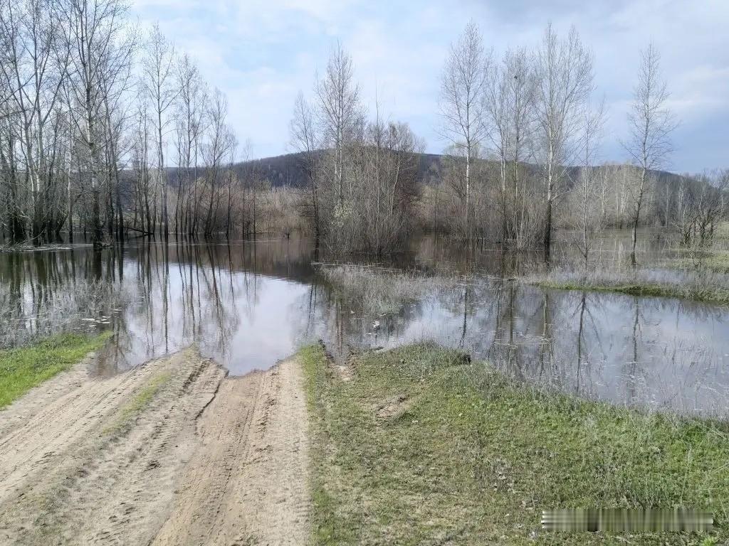 最新消息！正如此前预计，石湖渡口已被洪水淹没。
伏尔加河水位过去24小时暴涨1.