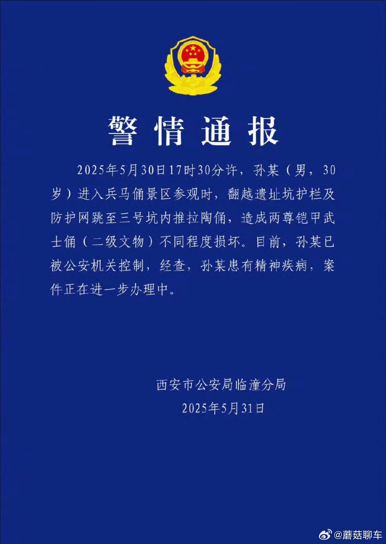 跳兵马俑俑坑男子患精神疾病精神病的话是不是监护人或者照看人应该也负责任？[摊手]