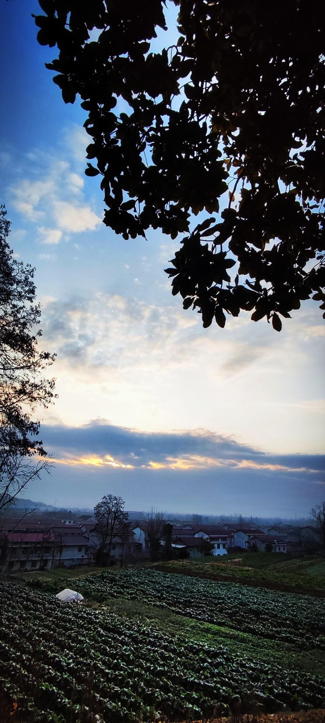 晒图笔记大赛冬天的清晨，一线曙光照亮云层时，红的屋顶、绿的田野都掩映在黄的紫的霞