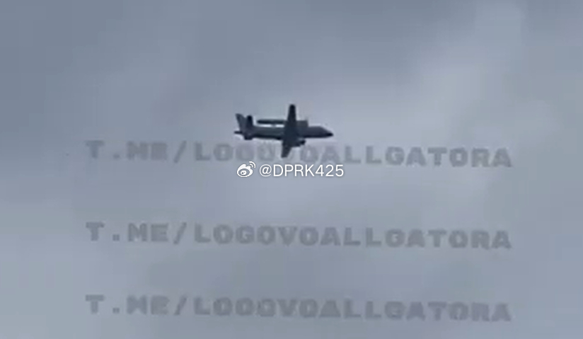 烽火问鼎计划每天认识一件兵器 据称是萨博340预警机在乌克兰上空执行任务的第一段