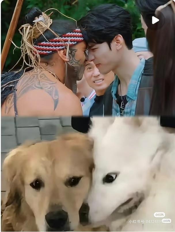 真的是经常胡乱用他那张帅脸胡作非为龚俊，你还记得自己是一个高冷男神吗？地球超新鲜