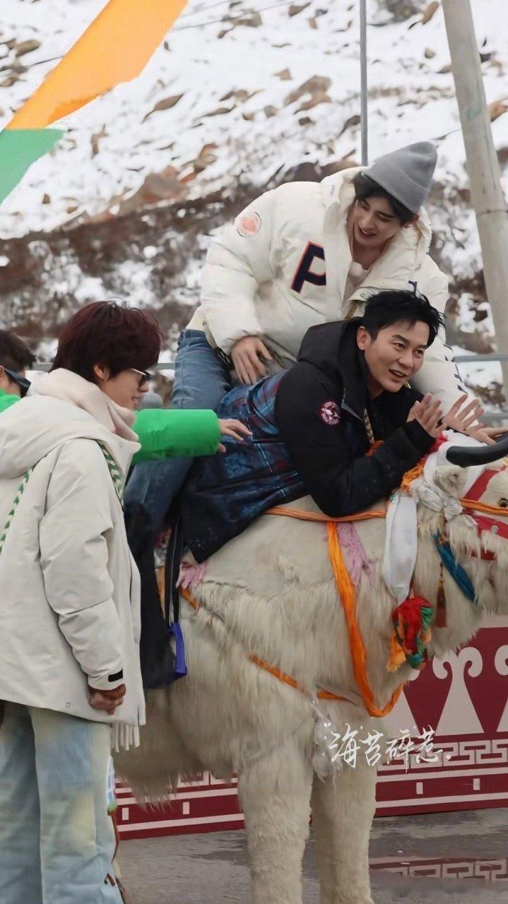跑男叠叠乐奔跑吧 这是什么青藏高原限定皮肤！李晨当底座稳如泰山，敖瑞鹏在中间笑成