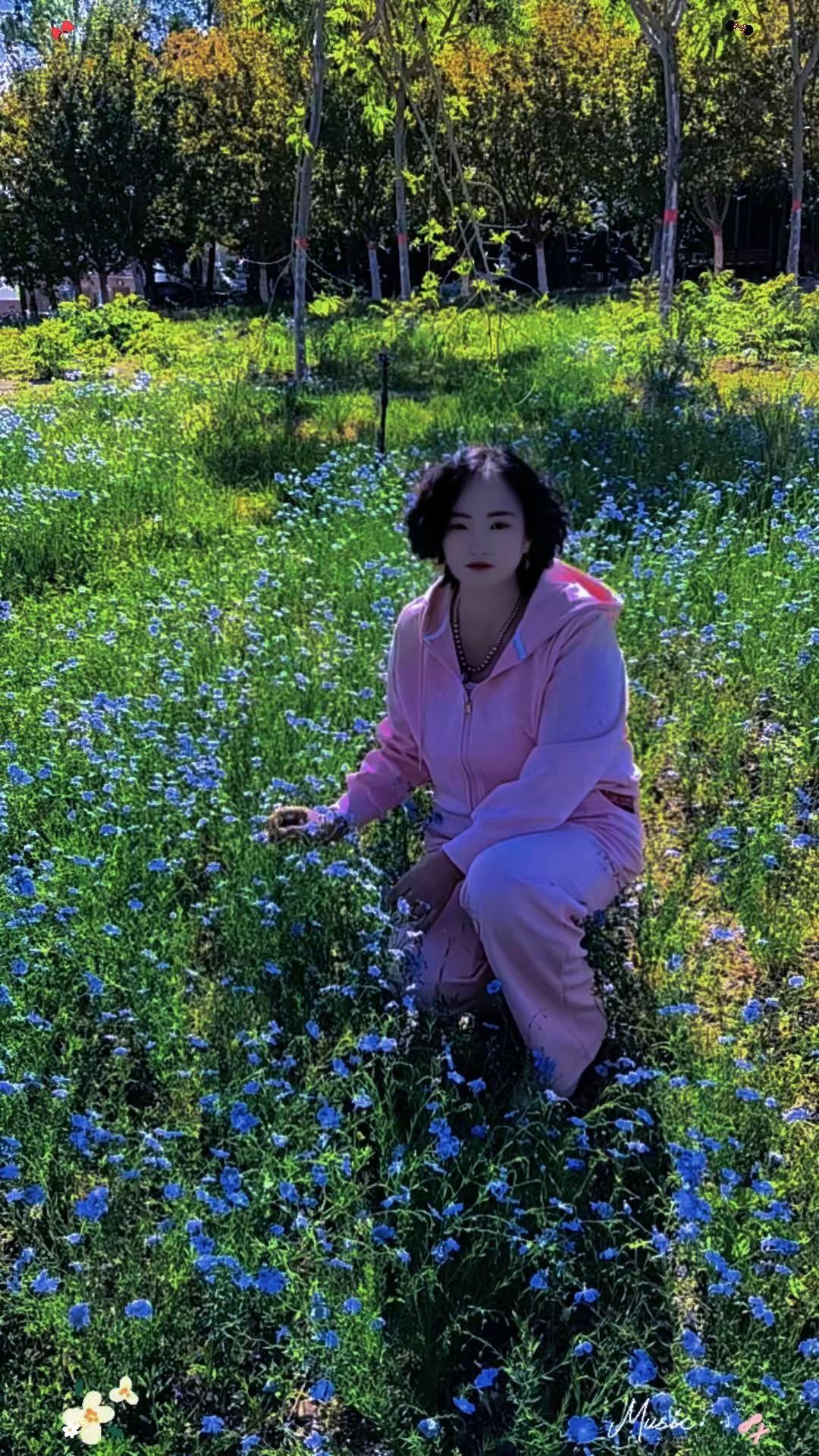 花田草地