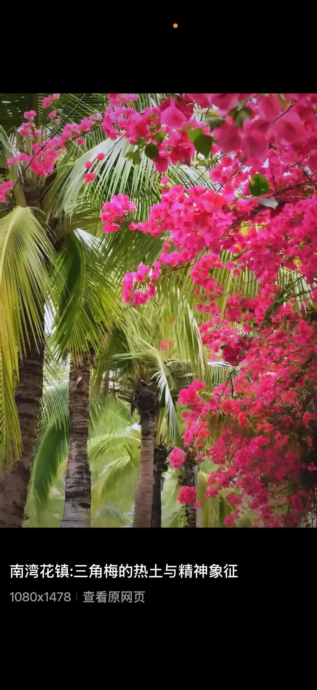 何谓中药的炮制。中药炮制的目的。中药炮制：用“加工”换“安全”和“增效”。1. 