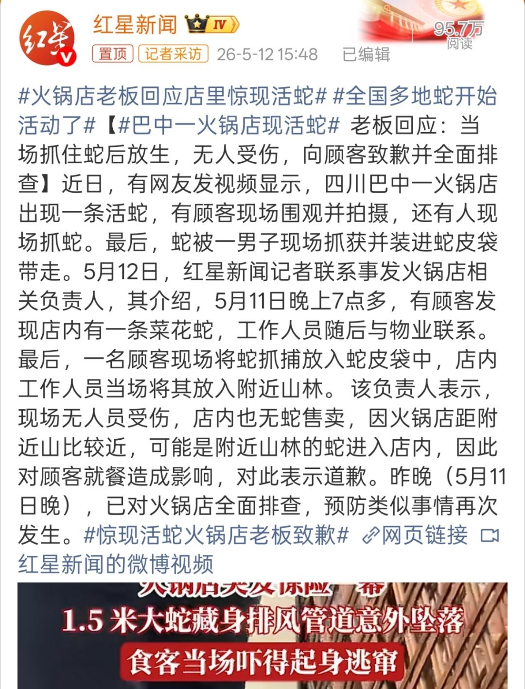 惊现活蛇火锅店老板致歉在现场真的要被吓懵了，不过这还真怪不到老板，又是蟑螂那肯定