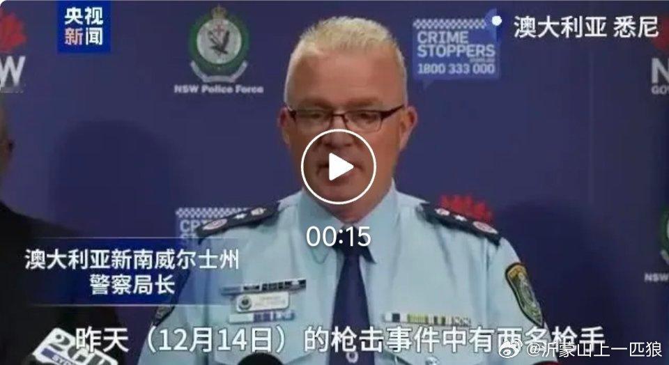 【悉尼枪击事件已致16人死亡，枪手系父子，澳全国降半旗志哀】当地时间15日早上，