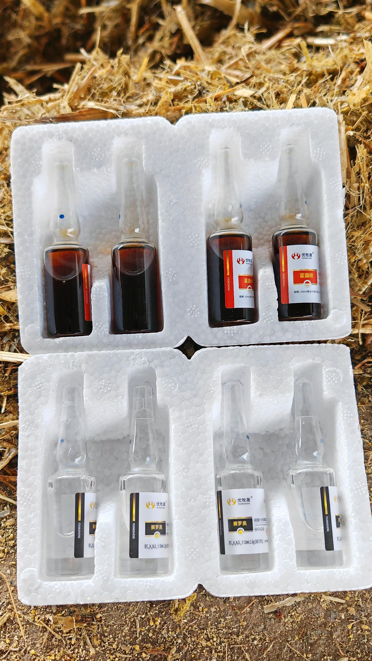 养羊人 牛羊养殖