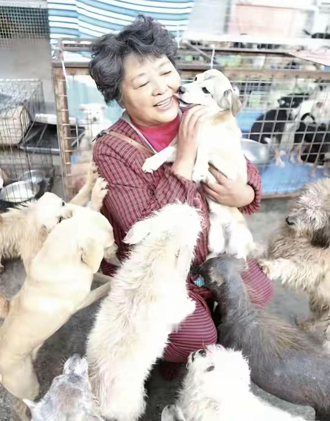 湖北70岁流浪动物之家负责人遭遇车祸进ICU，义工：事发当天她仅吃了一个鸡蛋
