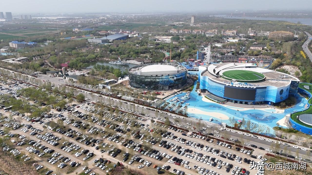 清明假期期间，临沂启阳极地海洋王国以“寻梦蔚蓝·深海繁花”为核心主题，为游客打造