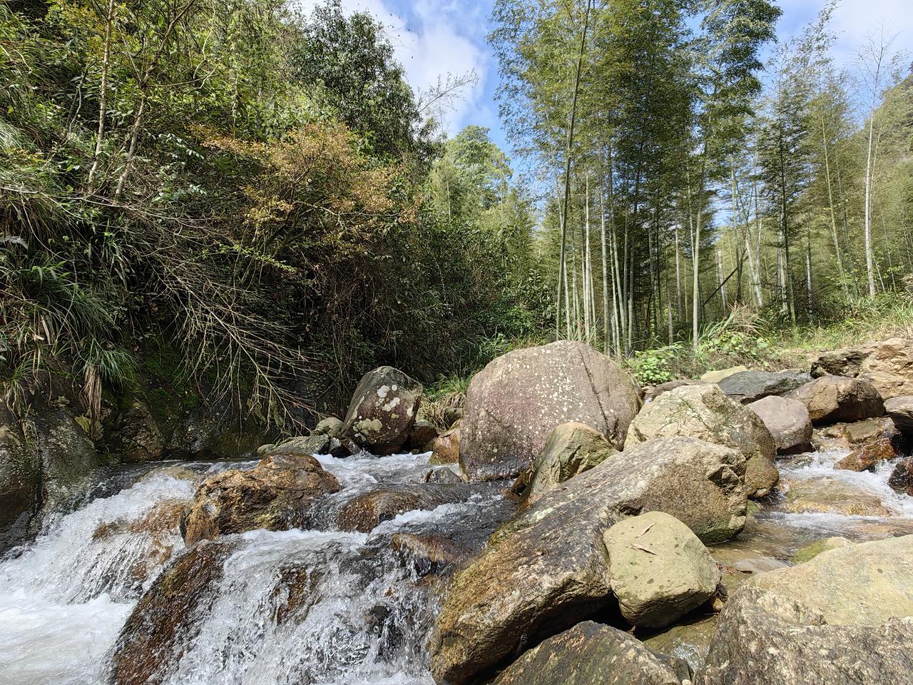 《七访仰山禅寺有感》

才归桑梓地，顺访沩仰门。
桃荣柯枯朽，湍激潭深沉。
香客
