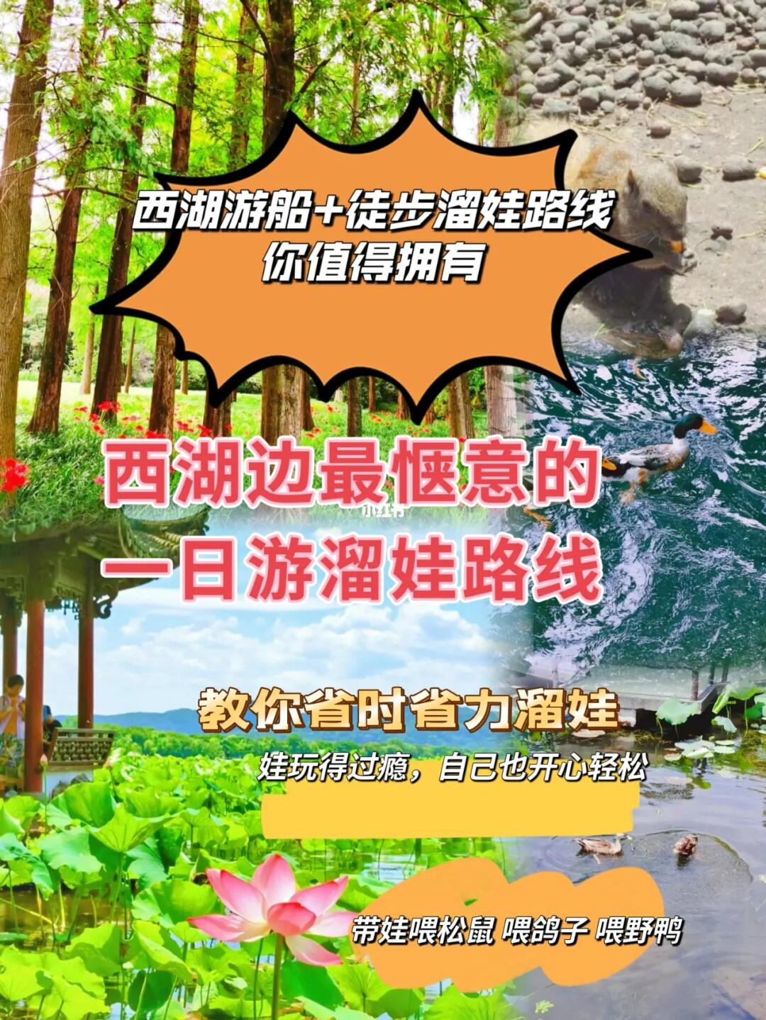 杭州本地人都不一定知道的西湖溜娃路线