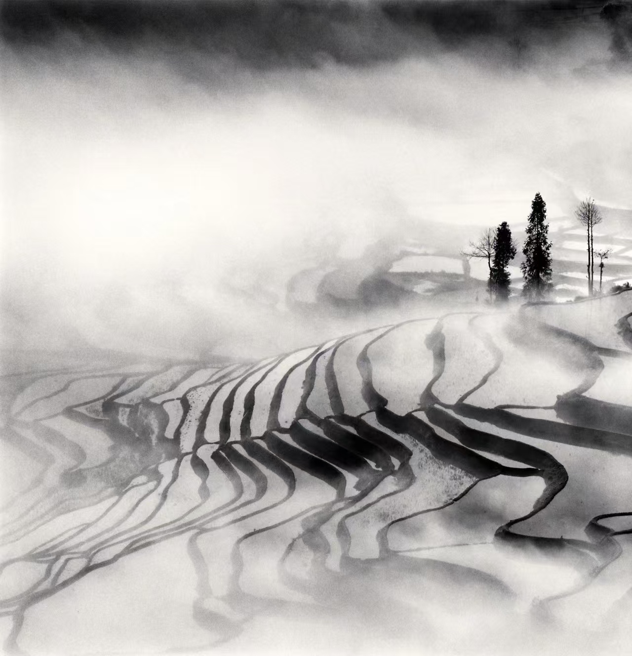 微不足道确迷人的美｜📷：迈克尔·肯纳(Michael Kenna）#摄影审美 