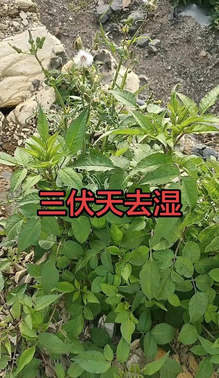 一波三折的一场较量！孙颖莎遭遇强劲挑战，比赛进程几经波折，在落后的困境当中及时调