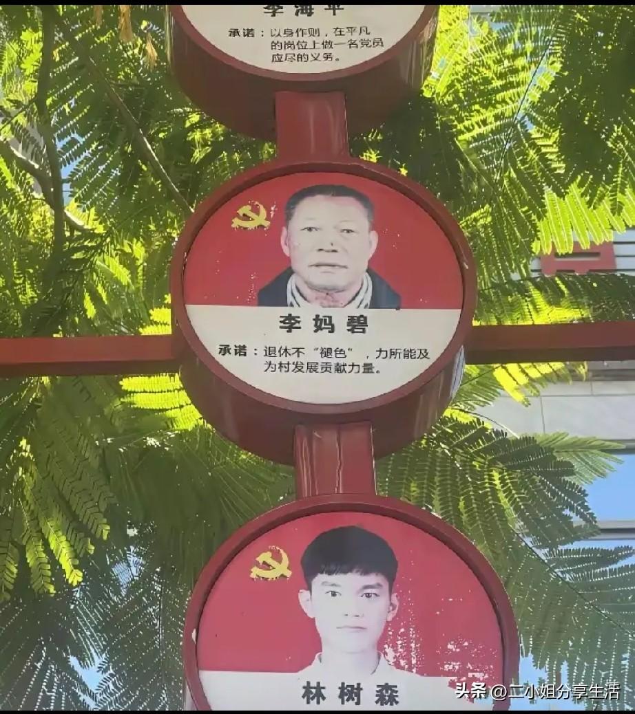 这个名字怎么一个比一个离谱？