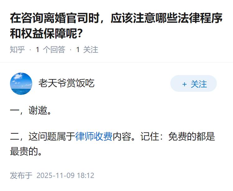 在咨询离婚官司时，应该注意哪些法律程序和权益保障呢？