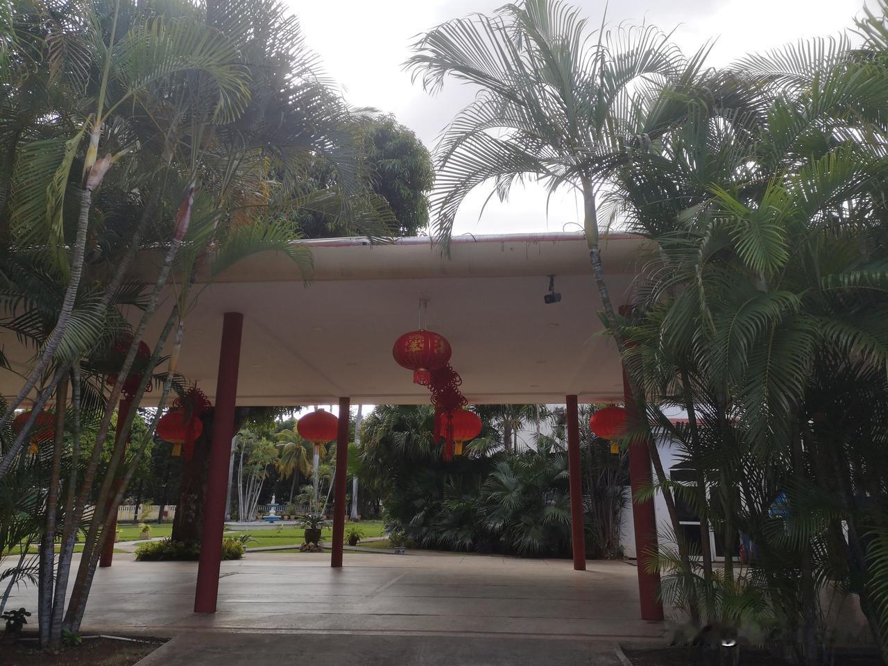 马库斯·图拉姆：我记得世界杯决赛踏上球场的那一刻，看到看台上坐满了阿根廷球迷。我