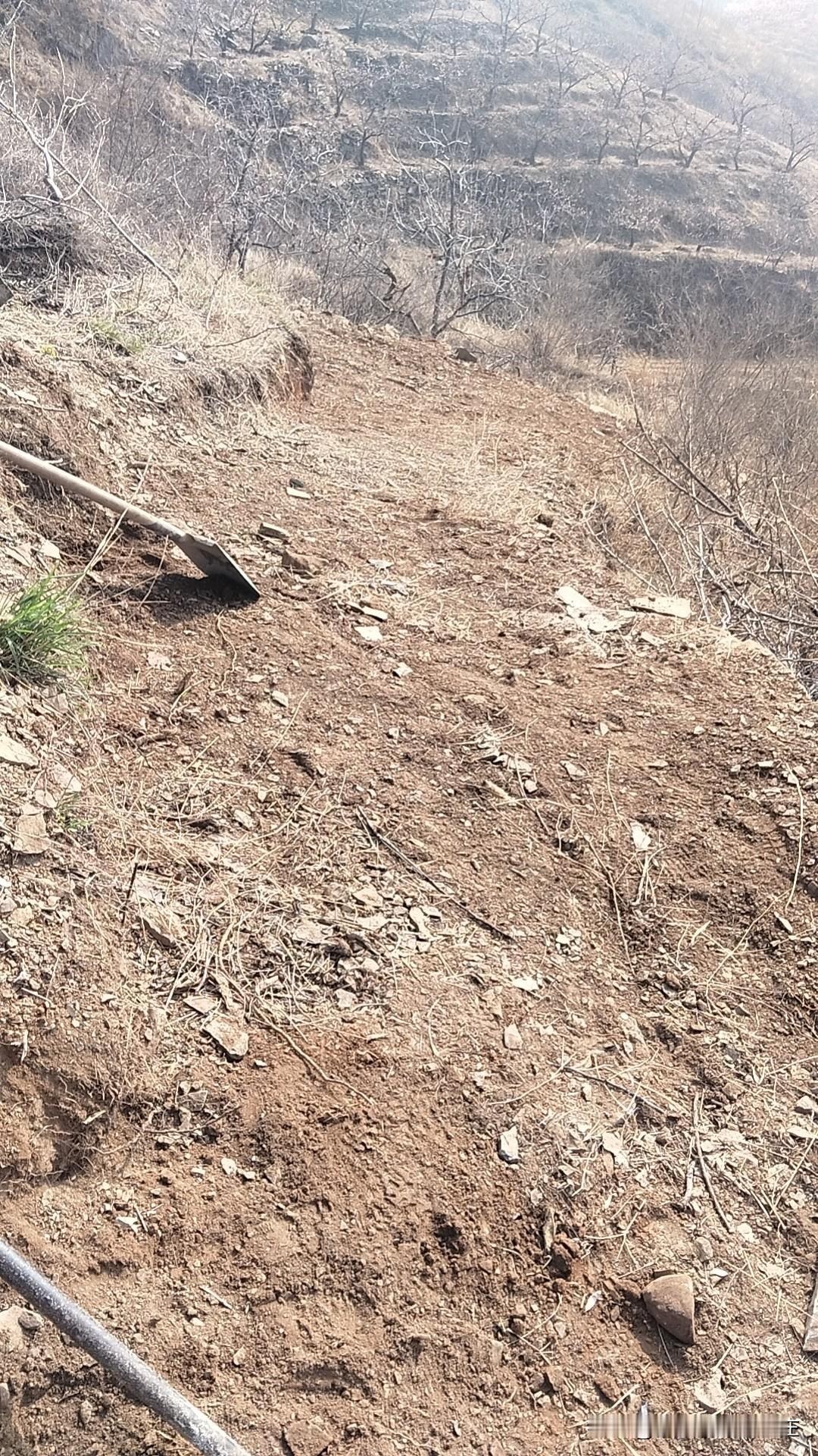 一般农民有十万八万吗?
一般农村家庭还真没有十万八万的，就拿我来说吧。我家果树一