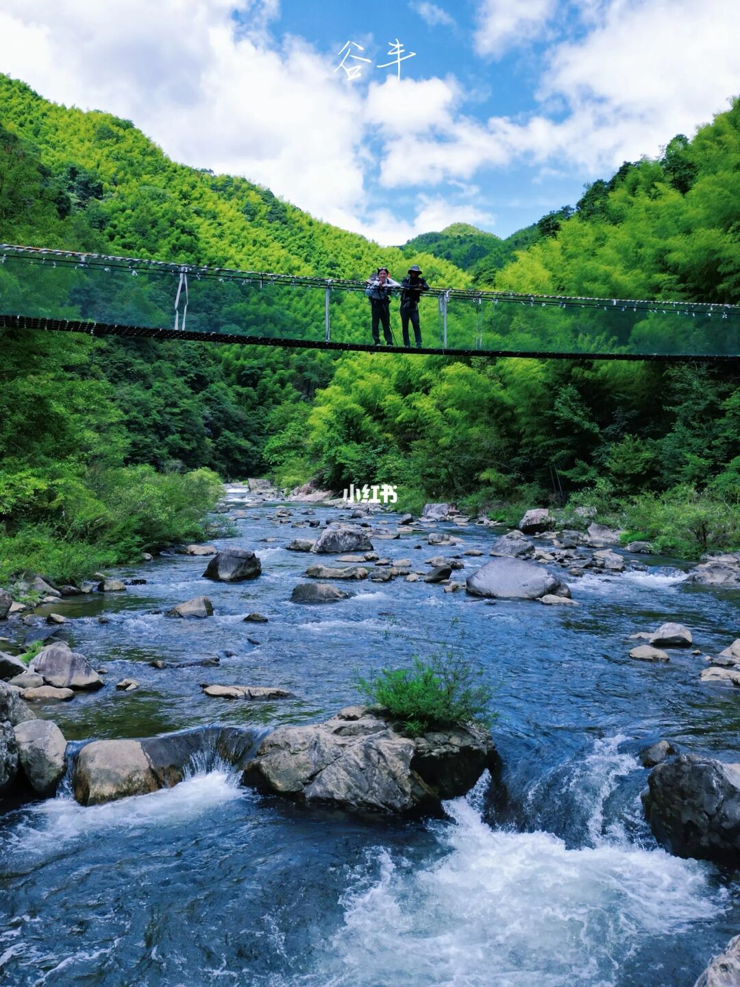 宁波徒步|一起去遗世独立的秘境山林吸氧吧
