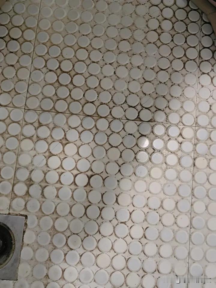 每天早上上厕所。就用语音来写一篇文章。三两分钟。就可以完成。又能赚钱，又可以打发