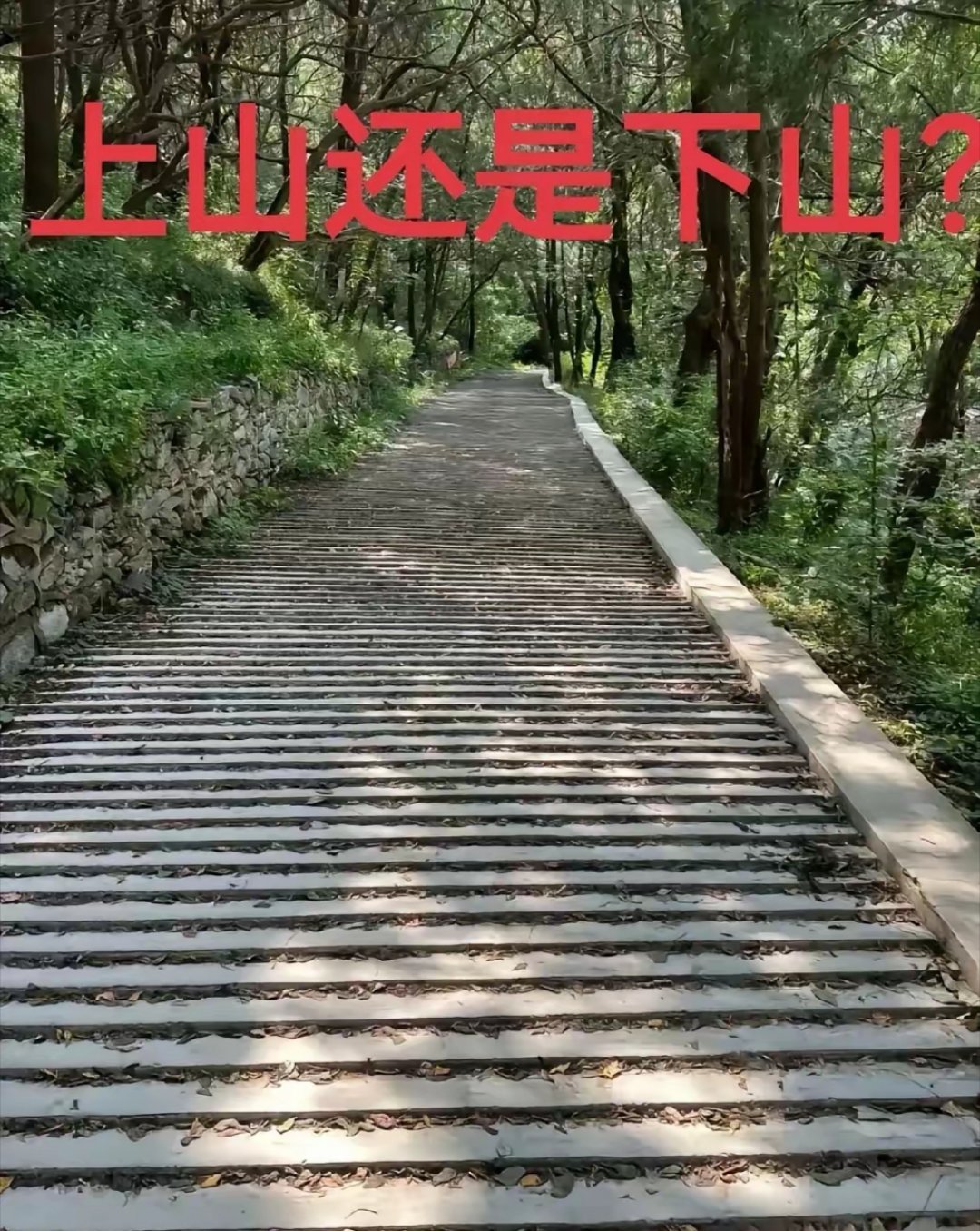 问了几百人，没人知道这到底是上山还是下山！ 