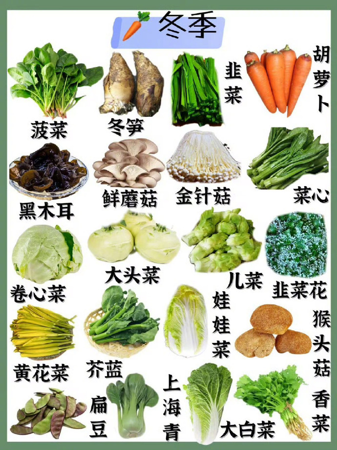 应季蔬菜时令表，蔬菜保鲜方法攻略！我的宝藏食谱