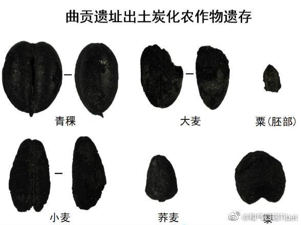 1983年10月，西藏考古学家在拉萨北郊娘热山沟曲贡村的考古发掘，发现了一处40