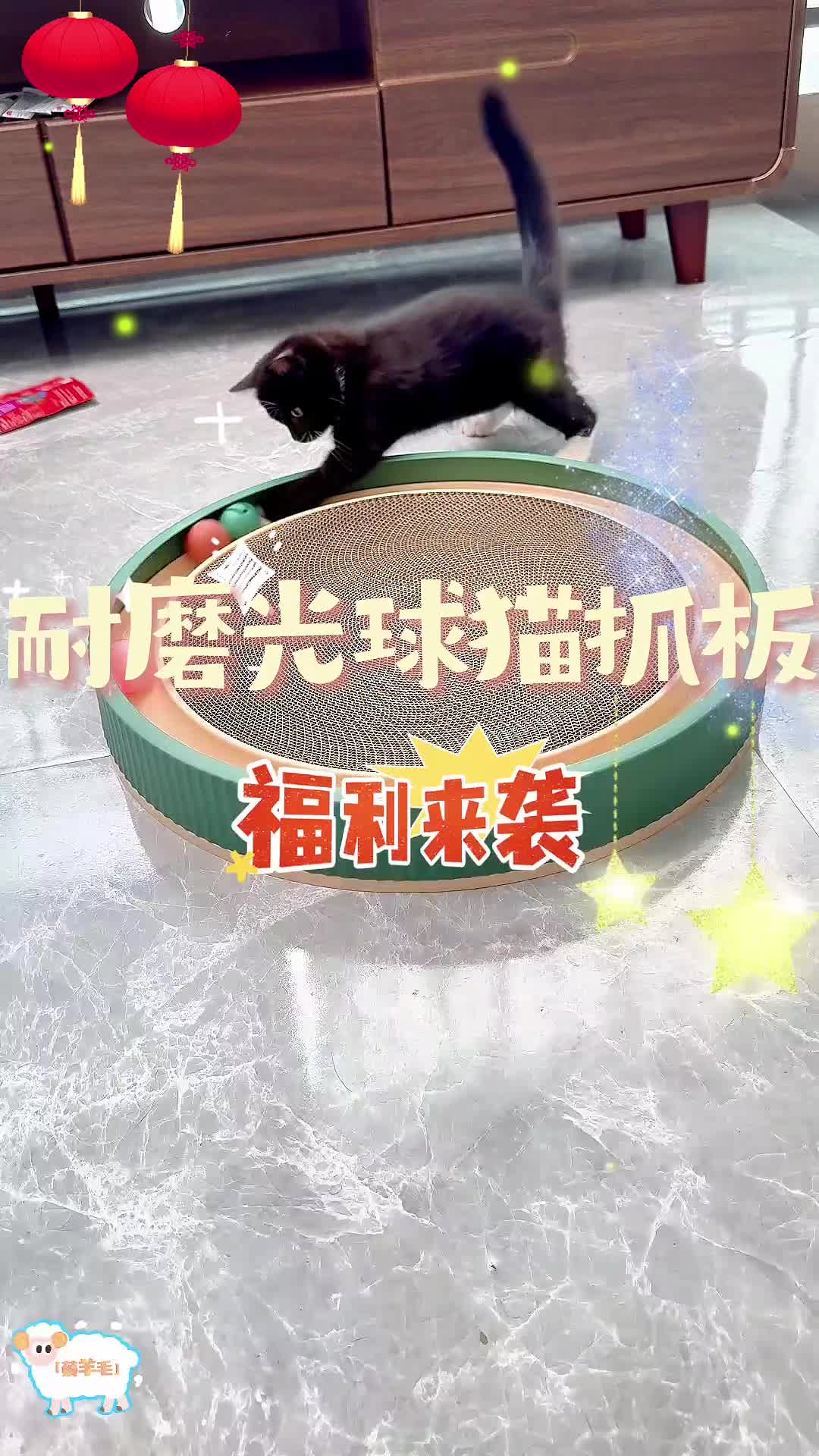 小猫有多喜欢你就看吧，一玩一个不吱声！