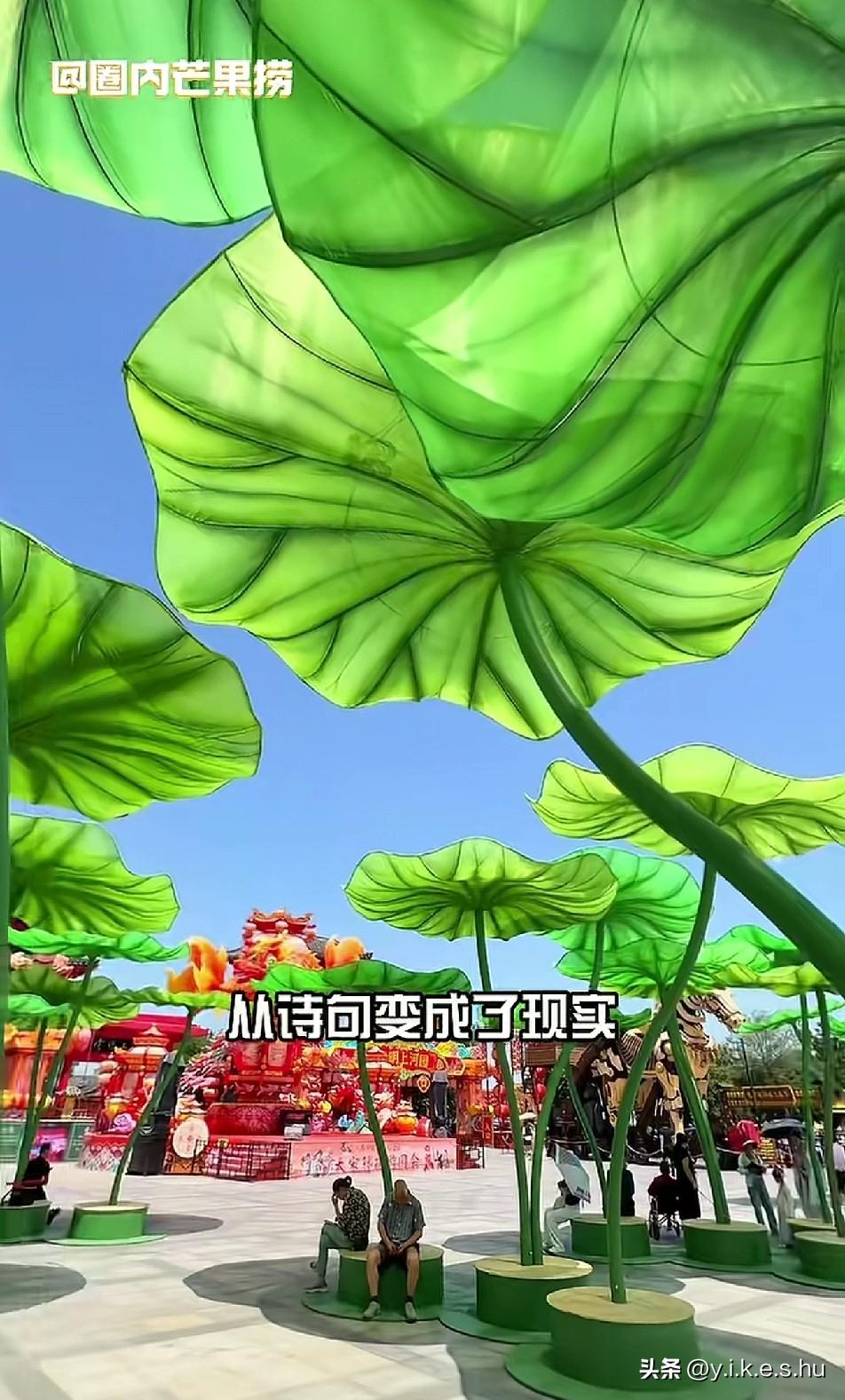 清明上河园又放大招了，我得赶紧买票去体验水中游鱼畅游荷塘