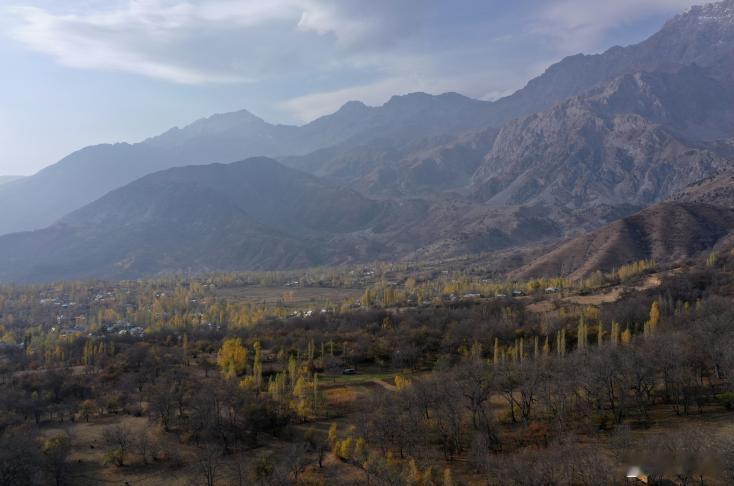 11月13日核桃原始森林很难得一见，当地经济落后，依赖放牧和核桃开发可以理解，但